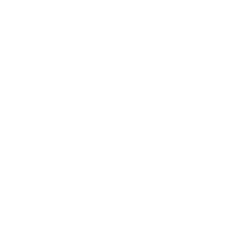 Store icon