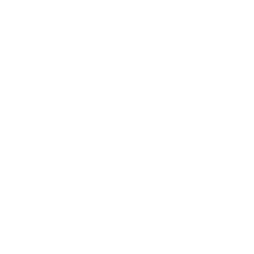 Store icon