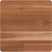 cedar